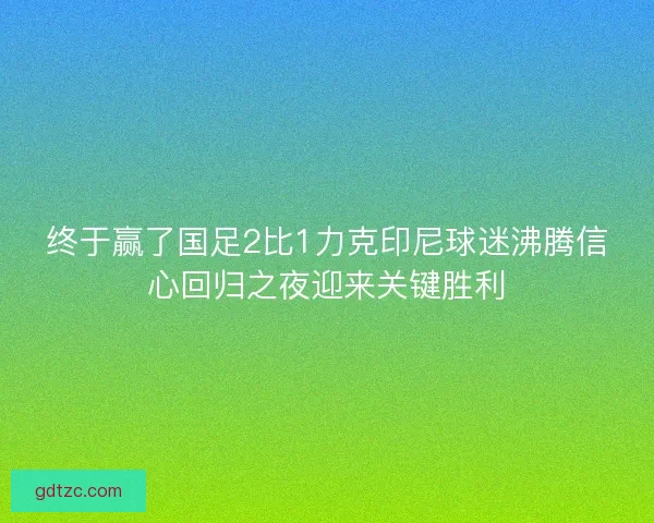 终于赢了国足2比1力克印尼球迷沸腾信心回归之夜迎来关键胜利