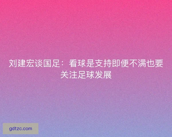 刘建宏谈国足：看球是支持即便不满也要关注足球发展