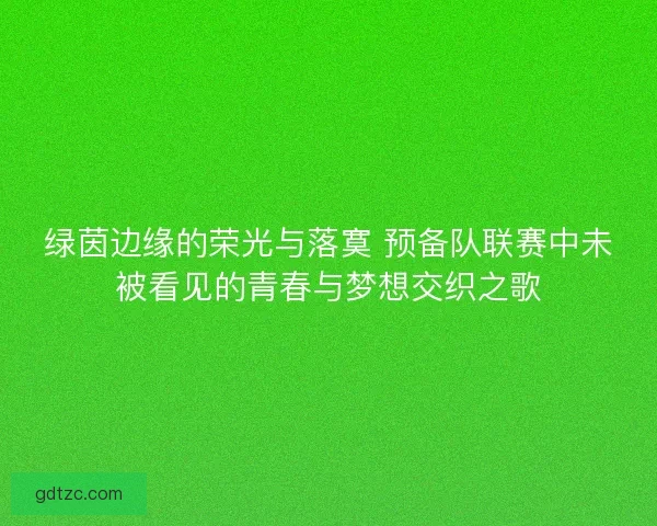 绿茵边缘的荣光与落寞 预备队联赛中未被看见的青春与梦想交织之歌